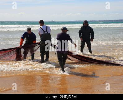 Küstenfischer aus dem winzigen Hafen von Traeria an der Mündung des Tejo ziehen Netze an den Strand von Caparica an der portugiesischen Atlantikküste. Stockfoto