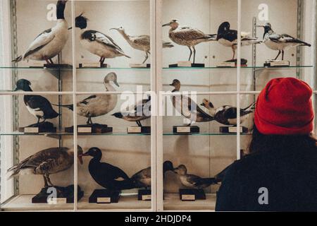 The Stromness Museum, Orkney, Schottland Stockfoto