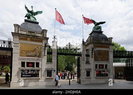 Zoo von antwerpen Stockfoto
