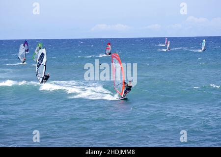 Mehrere Windsurfer segeln auf dem Wasser auf Maui Hawaii. Stockfoto