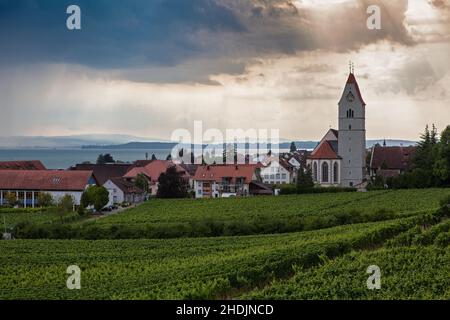 bodensee, hagnau, bodensees, Hagnaus Stockfoto