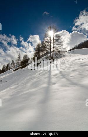 Sonne, Winterlandschaft, Schnee, Sonnen, Sonnenfleck, Landschaft, Landschaften, Winterlandschaften, Schnee Stockfoto