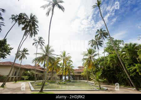 sri lanka, Resort, ahungalla, sri lankas, Resorts Stockfoto