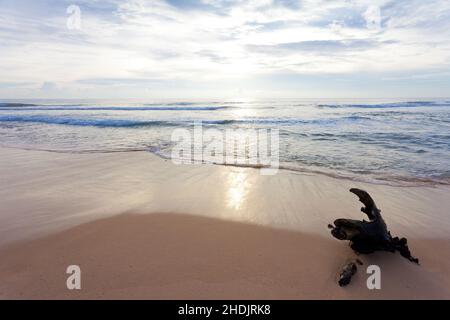 Küste, sri lanka, ahungalla, Küsten, sri lankas Stockfoto