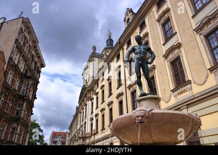 universitätsplatz, breslau, Fechterbrunnen, Universitätsplätze, Wroclaws, Fechterbrunnens Stockfoto