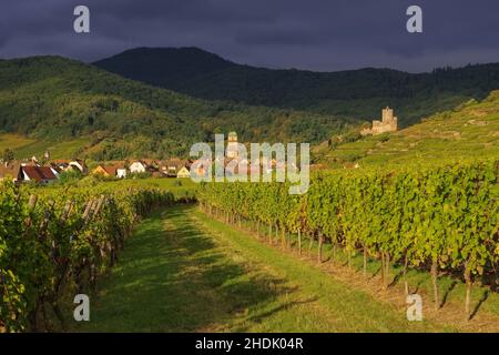 elsass, Weinregion, kaysersberg, Alsaces, Weinregionen, Kajsersbergs Stockfoto
