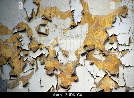 Gips, verwittert, Pflaster, Weide Stockfoto