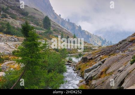 Bach, Gebirge, europäische alpen, trentino, val nambrone, Graben, Bäche, Bergketten, Trentinos Stockfoto