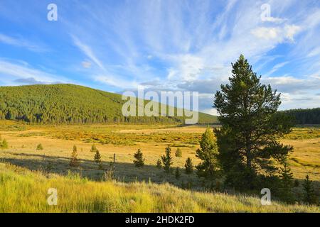 Ein schöner Herbstabend entlang des Highway 24 in der Nähe der Sylvan Lakes, nördlich von Leadville CO Stockfoto