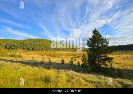 Ein schöner Herbstabend entlang des Highway 24 in der Nähe der Sylvan Lakes, nördlich von Leadville CO Stockfoto