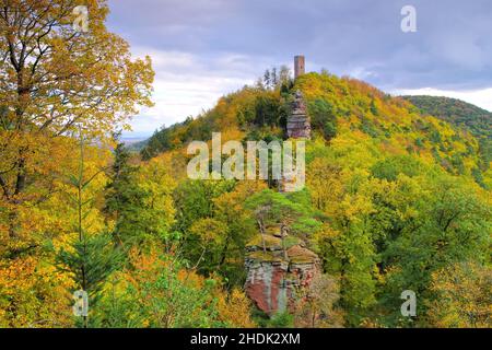 pfälzer Wald, burg scharfenberg, pfälzer Wald Stockfoto