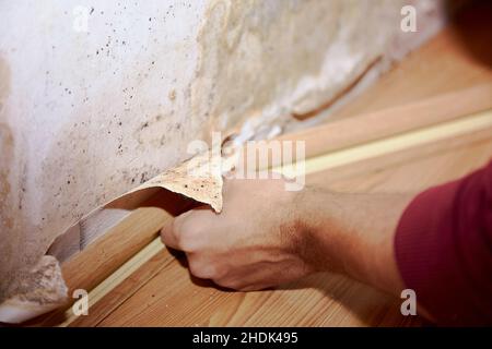 Entfernen der Sockelleiste vor dem Entfernen alter Tapeten und dem Anstreichen der Wand. Vorbereitung der Renovierung der Wohnung. Nahaufnahme. Wirklich einen Moment. Stockfoto