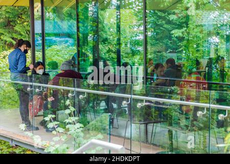 Touristen besuchen das Japanische Teehaus; Portland Japanese Gardens; Portland; Oregon; USA Stockfoto