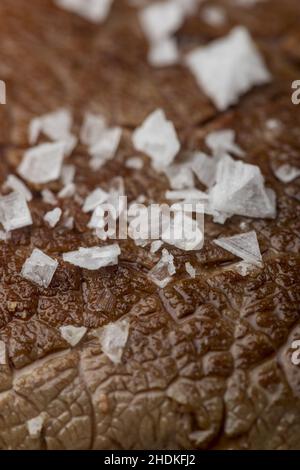 Textur, Meersalz, Rinderfilet, Texturen, Meersalze, Rinderfilets, Filet, Steak Stockfoto