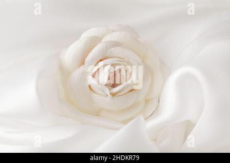 Hochzeit, Ehe, Stoffrose, Hochzeiten, Hochzeiten, Künstliche Blume, künstliche Rose, Stoffblume, Stoffrosen, Seidenblume, Seidenrose Stockfoto