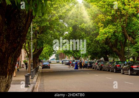 Batumi schöne Straße mit Sonnenlicht und Bäumen Stockfoto