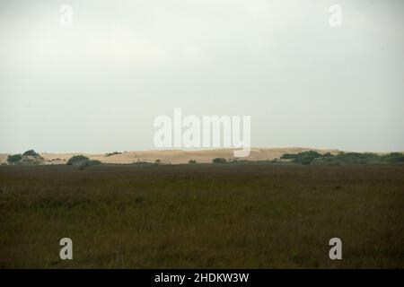 Vogelbeobachtung auf der King Ranch in Texas Stockfoto