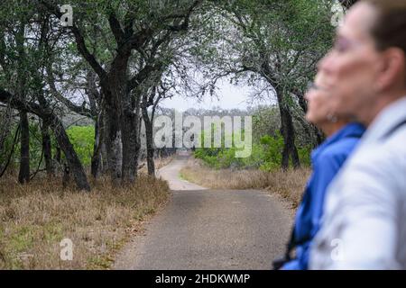 Vogelbeobachtung auf der King Ranch in Texas Stockfoto