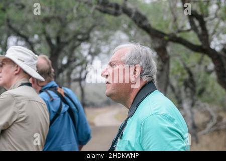 Vogelbeobachtung auf der King Ranch in Texas Stockfoto