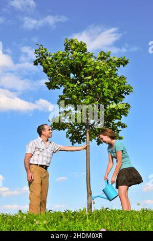 Gartenarbeit, Bewässerung, Pflanzenpflege, Pflege von Pflanzen, Bewässerung Stockfoto