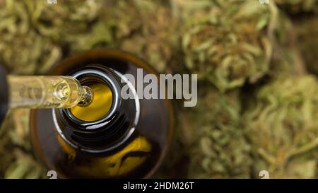 Tropf mit medizinischem Cannabis CBD-Unkrautöl zur oralen Verabreichung. Tröpfchen fallen in eine kleine braune Flasche. Stockfoto