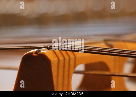 Saiteninstrument, Hackbrett, Saiteninstrumente Stockfoto