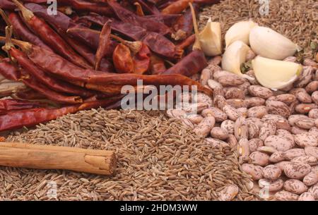 Bohnen mit Knoblauch, Paprika und mexikanischem Oregano, flacher DOF Stockfoto