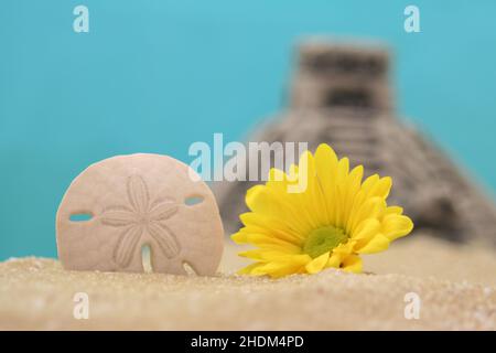 Blumen- und Sanddollar auf Sand mit Pyramide im Hintergrund, flacher Freiheitsgrad Stockfoto