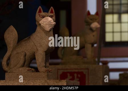 Tokio, Japan. 01st Januar 2022. Inari-Füchse, auch bekannt als Kitsune-Statuen, die im Sakuramoriinari-Schrein in Sagami-Otsuka, Kanagawa, Gesichtsmasken tragen. (Foto von Damon Coulter/SOPA Images/Sipa USA) Quelle: SIPA USA/Alamy Live News Stockfoto