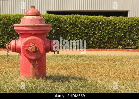 Vintage Red Fire Hydrant vor dem Stadtgebäude Stockfoto