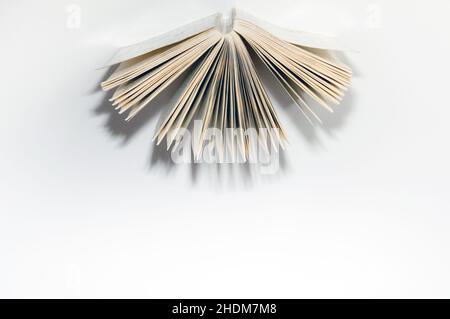 Bildung, Literatur, Wissen, Bildung, Literaturen, Fachkenntnisse Stockfoto
