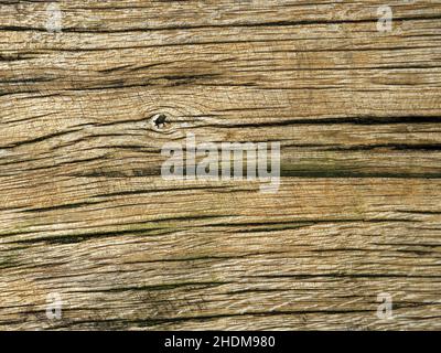 Holz, Getreide, verknotete Hölzer, Wälder, Holz, Getreide, verknotete Hölzer Stockfoto