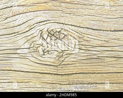 Holzmaserung, geknüpftes Holz, Holzmaserung, verknotete Hölzer Stockfoto