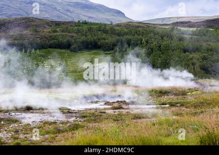 Grasland mit Nebel aus der Thermalquelle auf Island Stockfoto