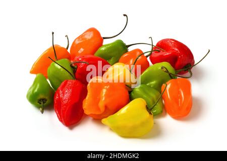 Chili, Habanero, Jalapeno-Pfeffer, Scotch-Haube, Habaneros, Jalapeno, Jalapeno-Paprika, Pfeffer, Koteletten Stockfoto