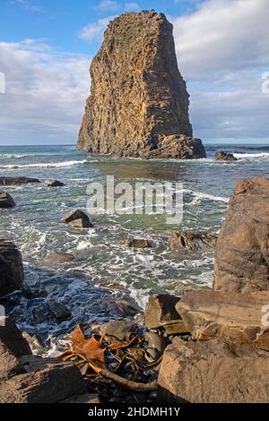 Lion Rock, Southwest National Park Stockfoto
