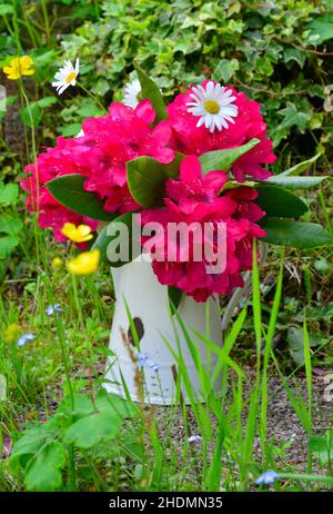 rhododendron, Bouquet, Zinntopf, Rhododendron, Bouquets, Töpfe aus Blech Stockfoto