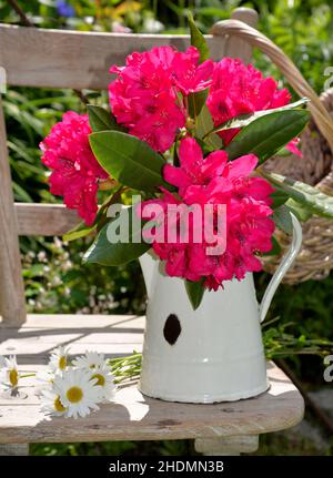 Blumenstrauß, Zinntopf, Landhausstil, Blumensträuße, Zinntöpfe, Länderstil Stockfoto