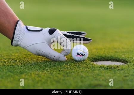 Golf, Putting, Golf, Schnapper, Golf Stockfoto