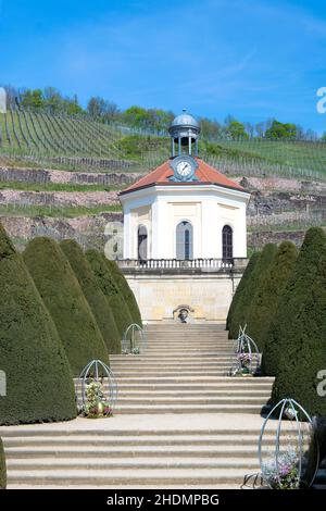 schloss belvedere, Schloss wackerbarth, schloss belvedere Stockfoto