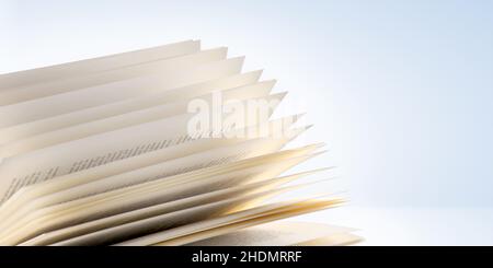 Bildung, Literatur, Wissen, Bildung, Literaturen, Fachkenntnisse Stockfoto