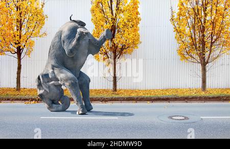 Elefant, Kopfstand, Elefanten, Kopfstand Stockfoto
