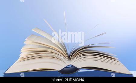 Buch, Literatur, Wissen, Bücher, Literaturen, Fachkenntnisse Stockfoto