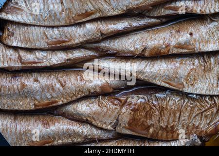 Geräuchert, Sprotte, Smokeds, rigaer Sprossen, Sprossen Stockfoto