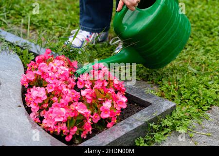 Bewässerung, Grab, Gräber Stockfoto