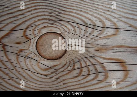 Holz, verknotete Hölzer, Wälder, Wälder, Verknotete Hölzer Stockfoto