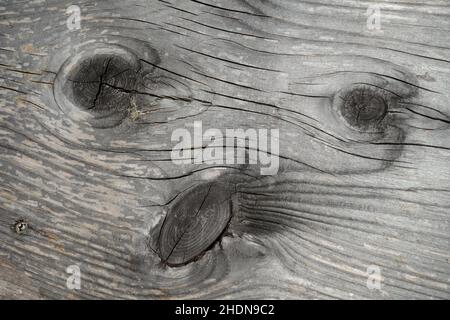 Holz, Holzmaserung, geknüpftes Holz, Wald, Wald, Hölzer, Holzkörner, verknotete Hölzer Stockfoto