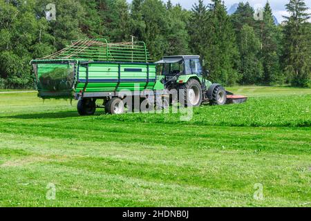 Heuernte, Schnitter, Heuernte, Schnitter Stockfoto