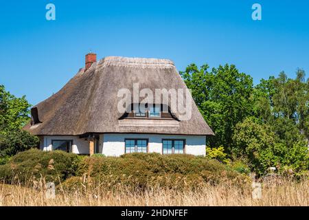 Reetdachhaus, Reetdachhaus Stockfoto