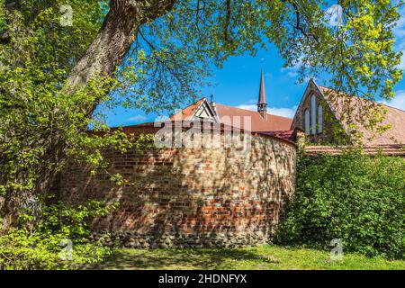 Stadtmauer, rostock, Abtei des heiligen Kreuzes, Mauern, rostocks Stockfoto